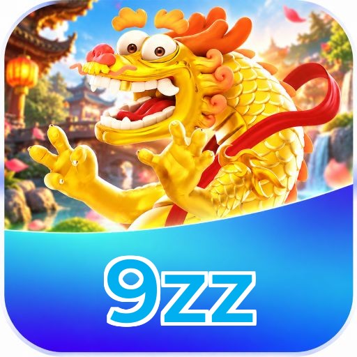 9zz VIP FAQ