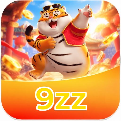 9zz System Requirements